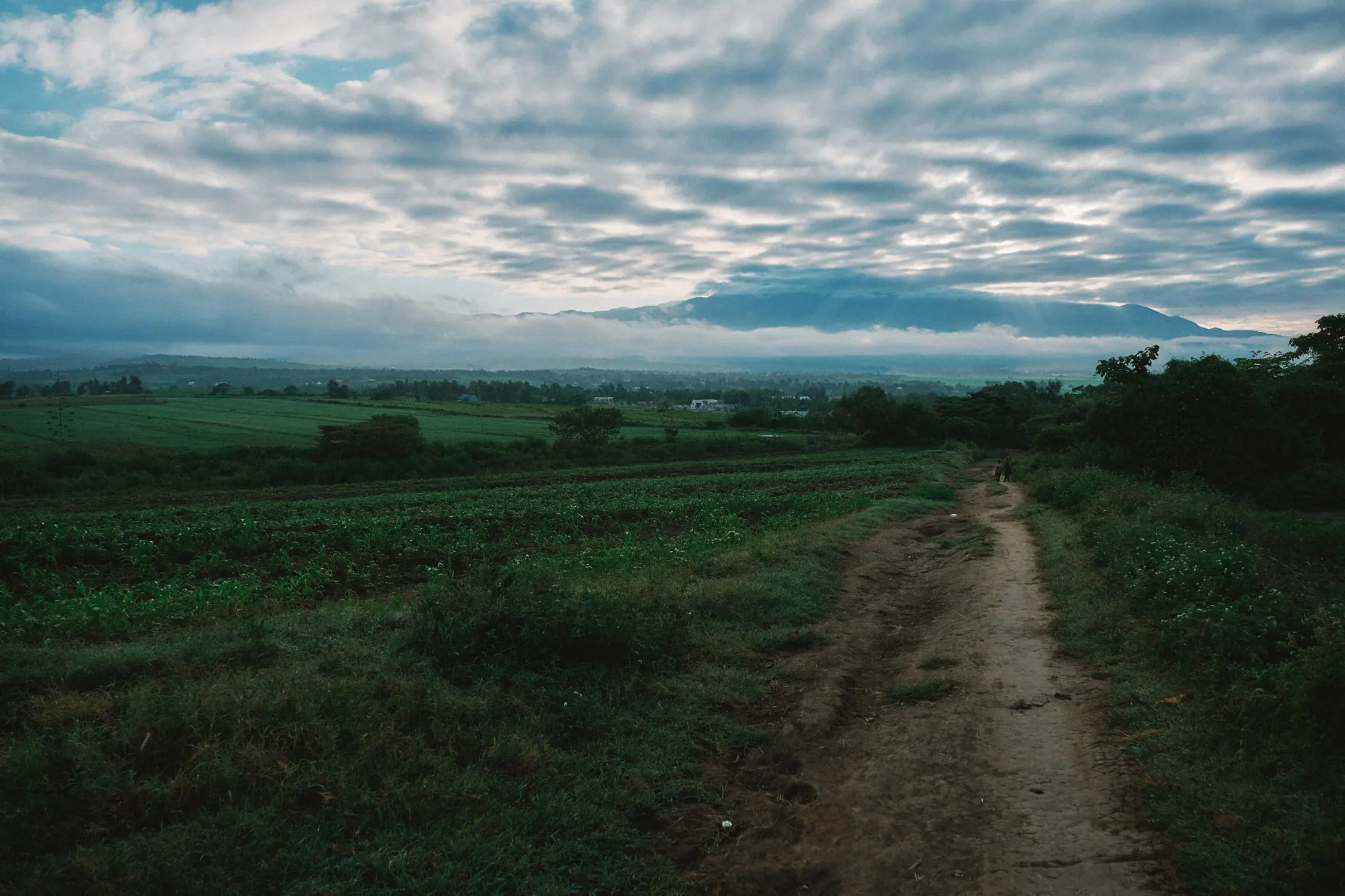 A dirt road runs through green farmland under heavy cloud