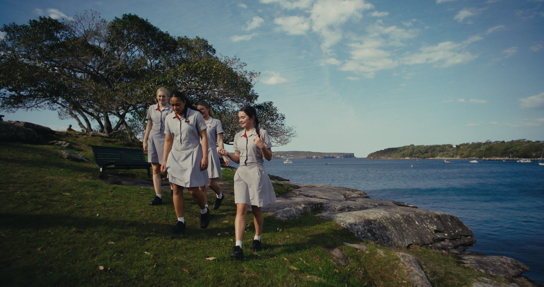 Four students walk along the harbour foreshore under a big tree