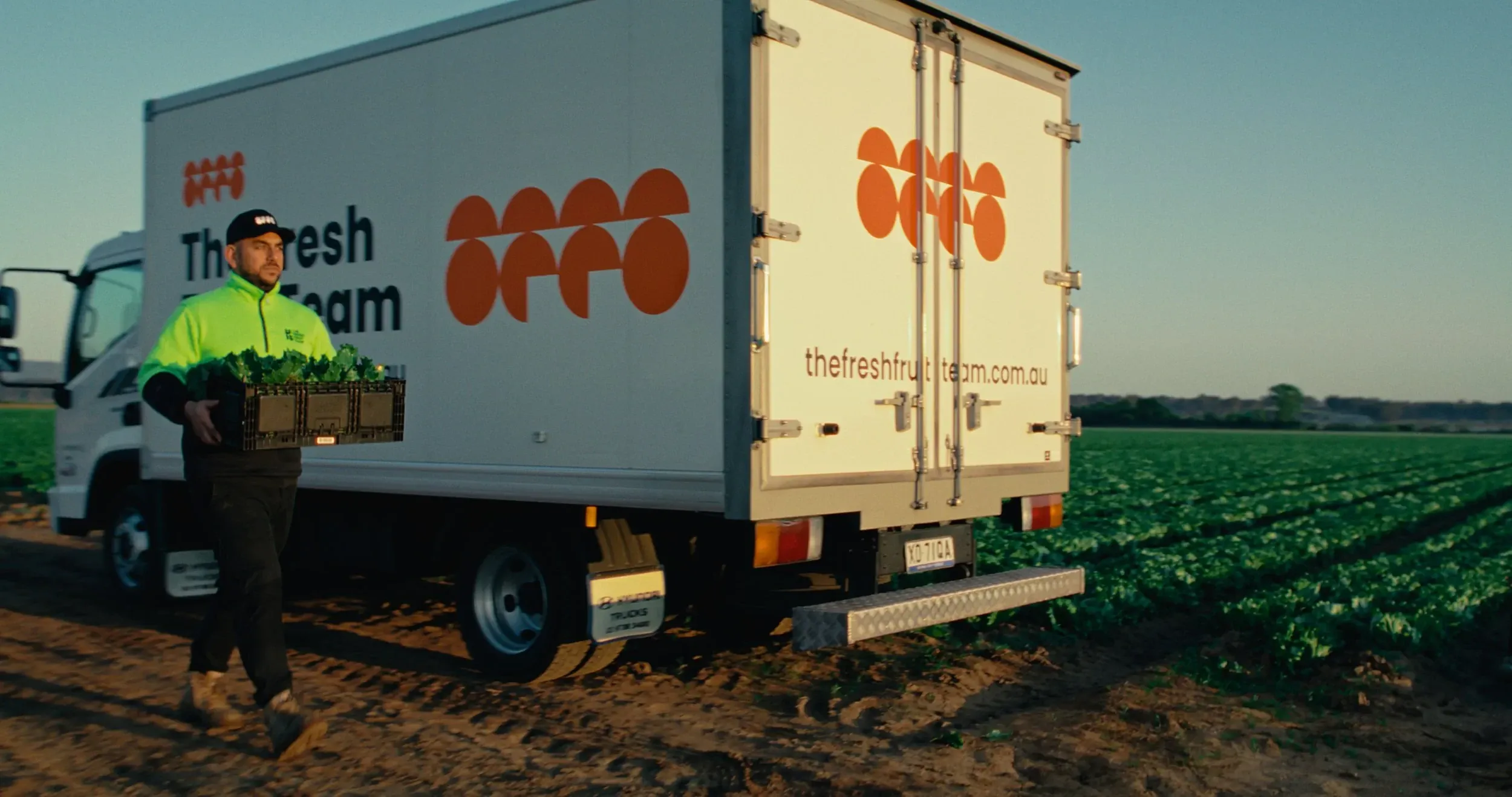 A worker carries a crate of greens past a branded Fresh Fruit Team truck in the field